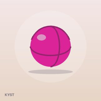 Nordic Chew Toy by Kyst