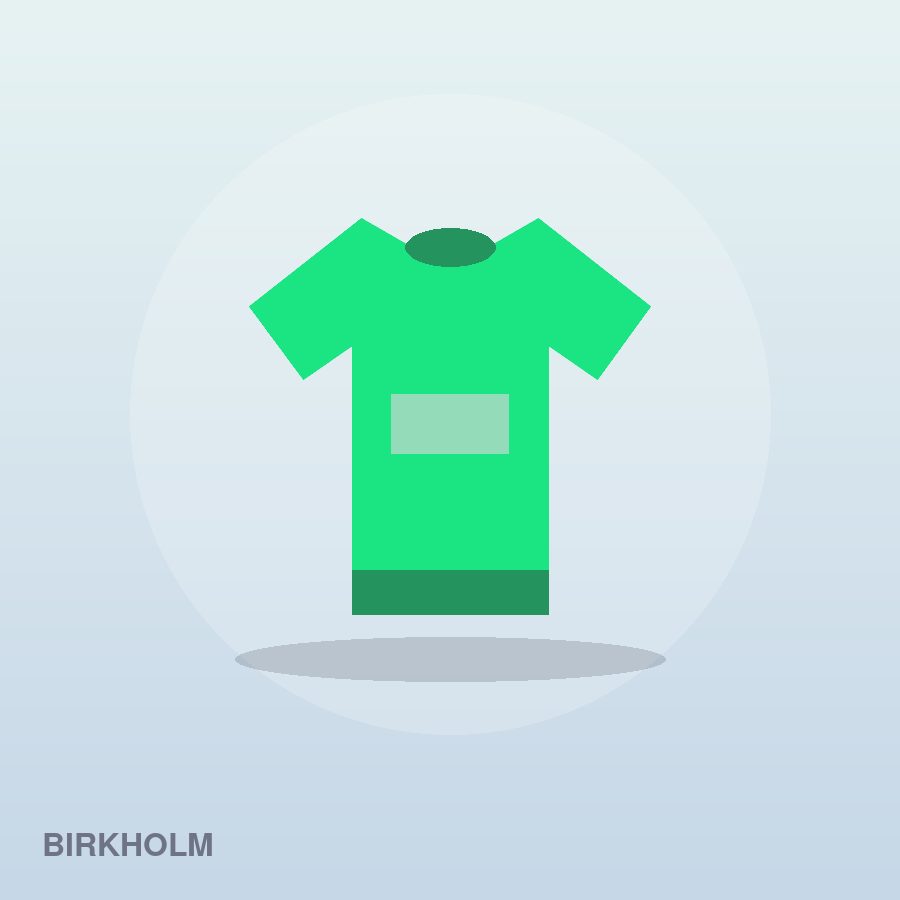 Premium Hoodie by Birkholm