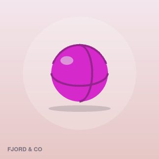 Classic Chew Toy by Fjord & Co