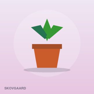 Urban Herb Kit by Skovgaard