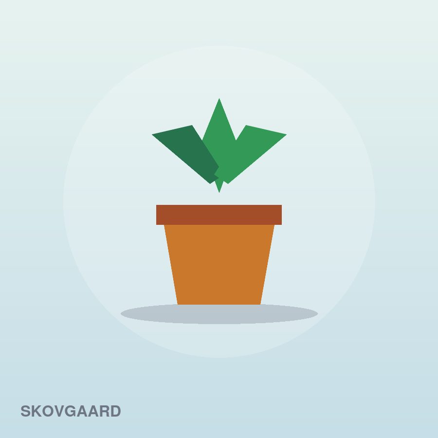 Nordic Herb Kit by Skovgaard