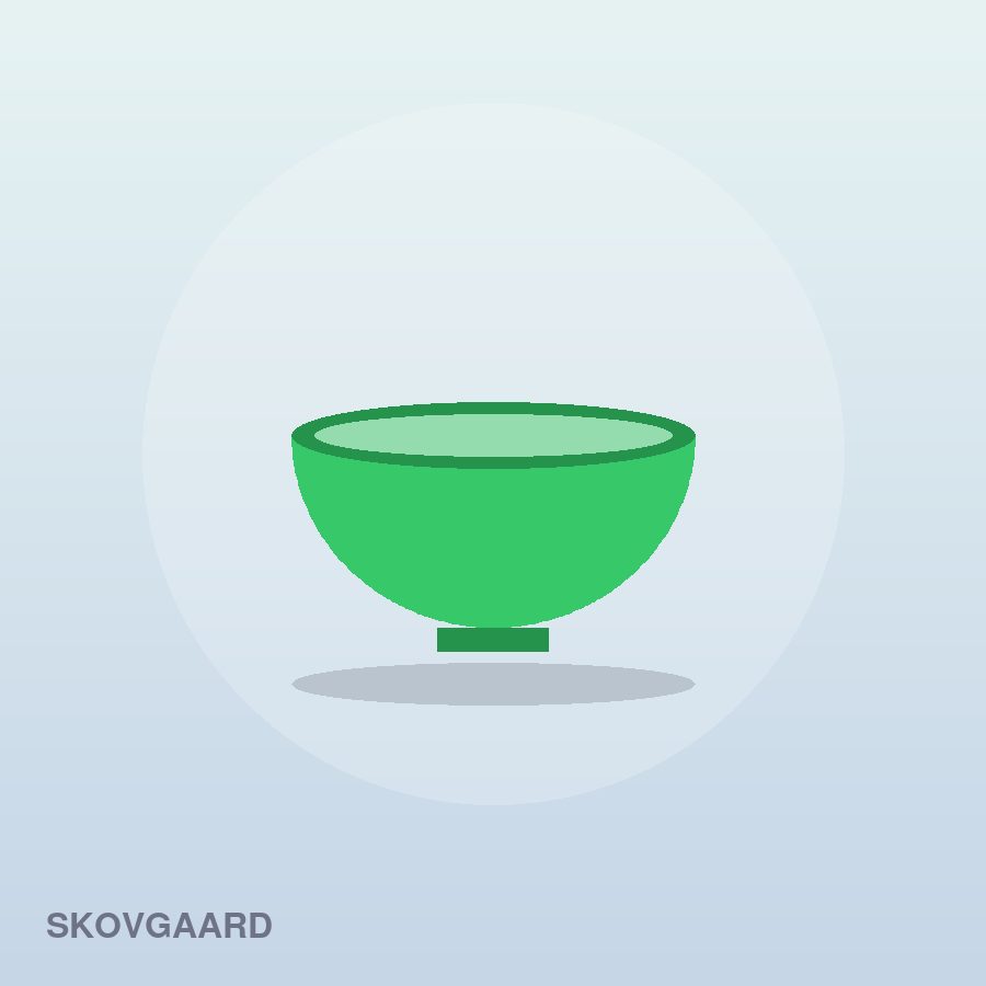 Premium Dinner Plate Set by Skovgaard