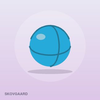 Everyday Chew Toy by Skovgaard