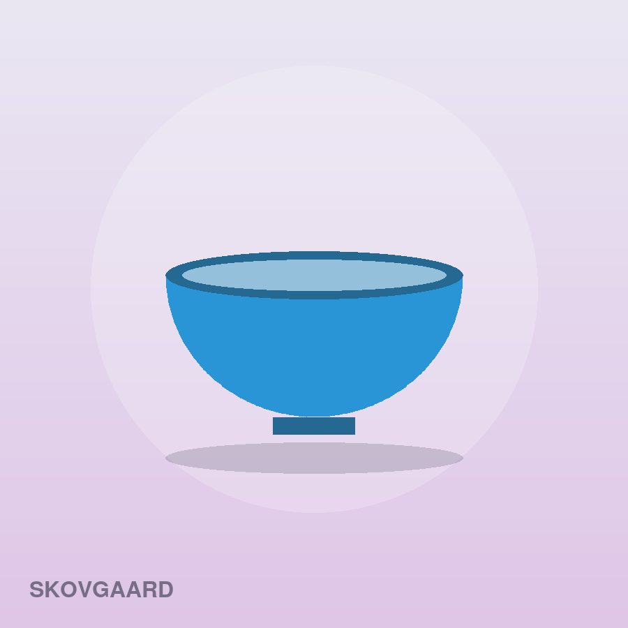 Nordic Dinner Plate Set by Skovgaard