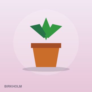 Classic Hanging Planter by Birkholm