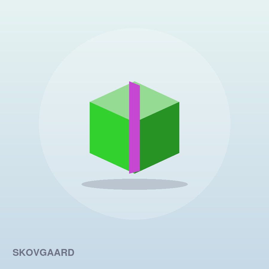 Everyday Pencil Case by Skovgaard