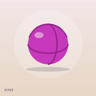 Signature Dumbbell Set by Kyst