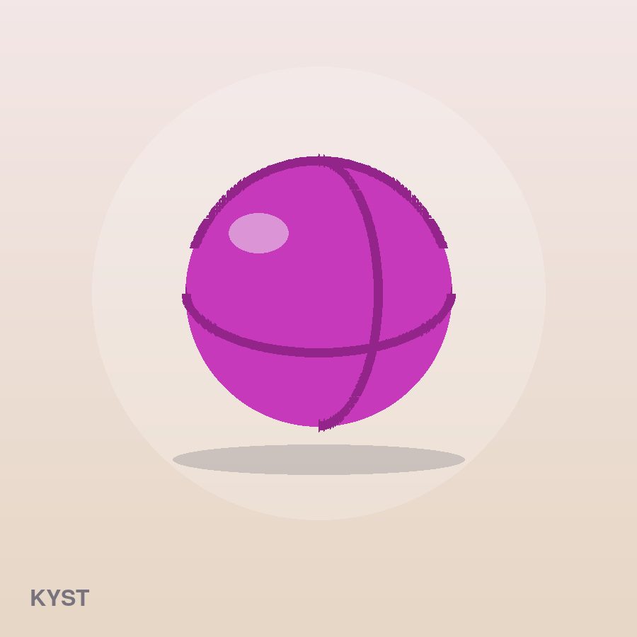 Signature Dumbbell Set by Kyst