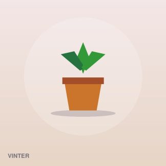 Everyday Hanging Planter by Vinter