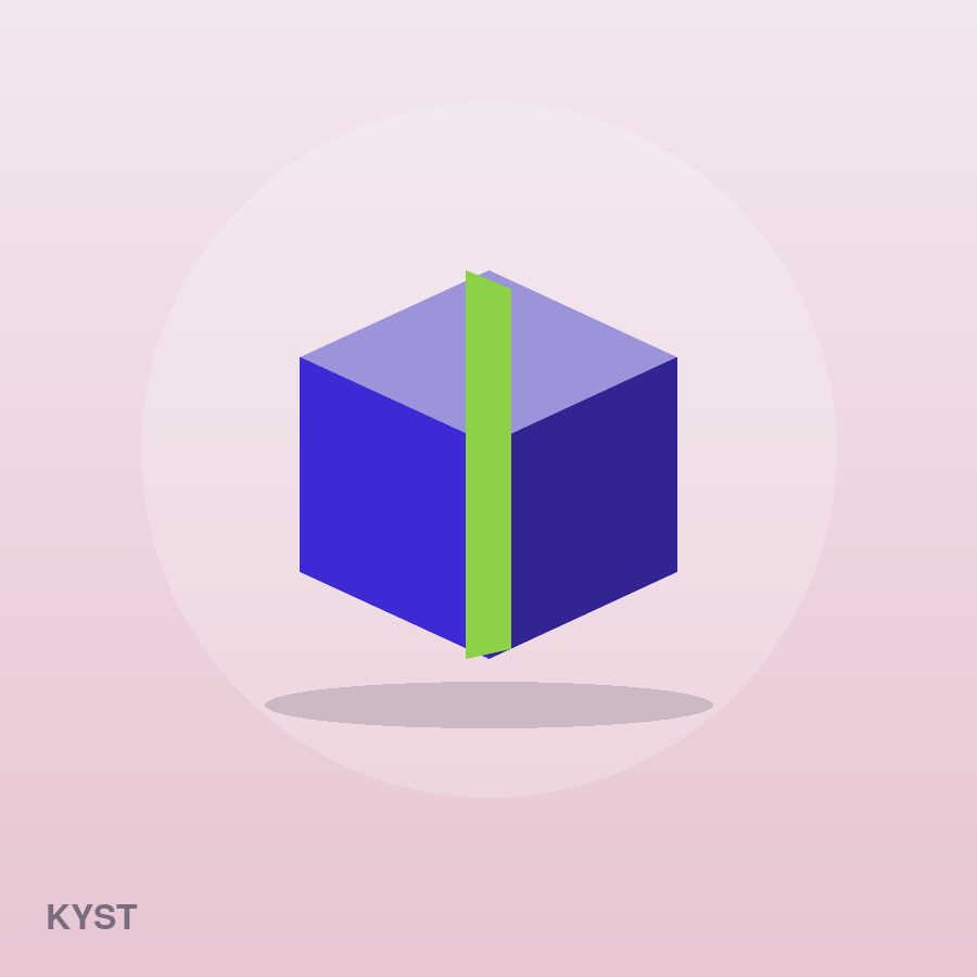 Premium Pencil Case by Kyst