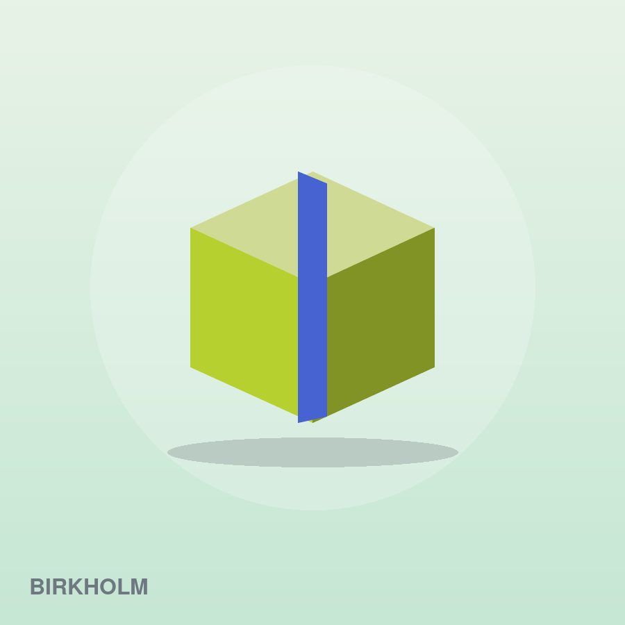 Classic Shampoo Bar by Birkholm