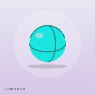 Premium Webcam by Fjord & Co