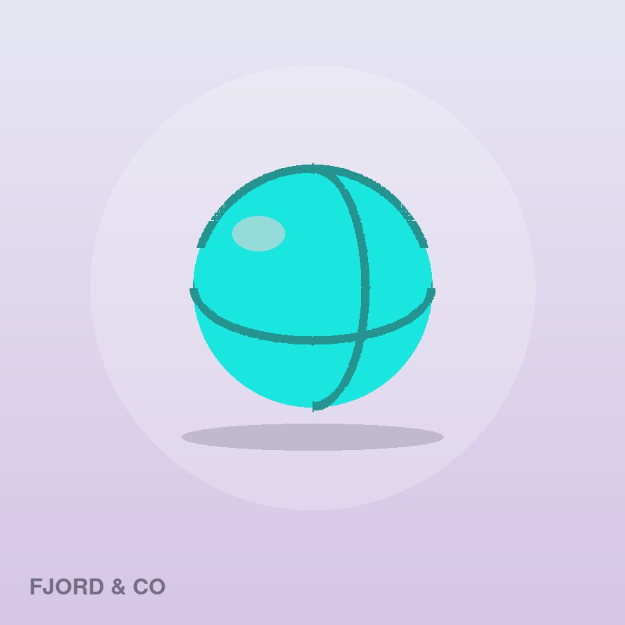 Premium Webcam by Fjord & Co