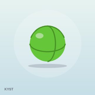 Signature Wireless Mouse by Kyst
