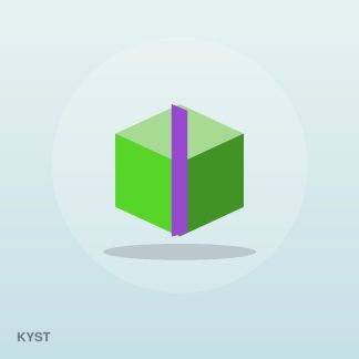 Everyday Hair Brush by Kyst