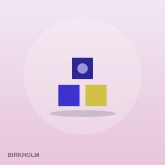 Premium Train Set by Birkholm