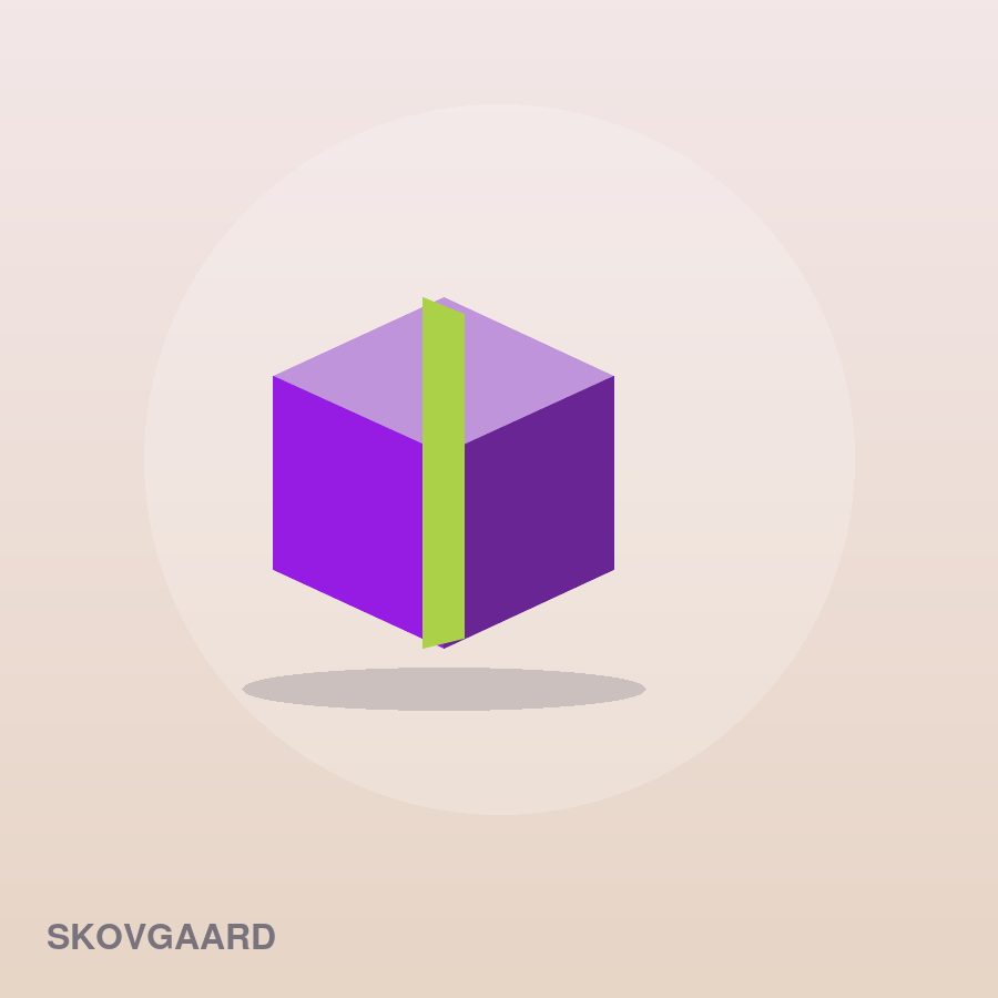 Compact Puzzle by Skovgaard (2)