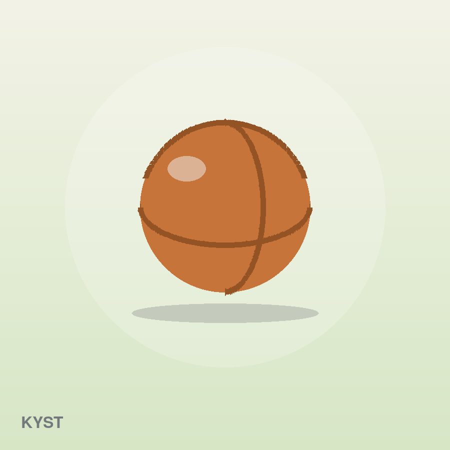 Premium Wireless Mouse by Kyst