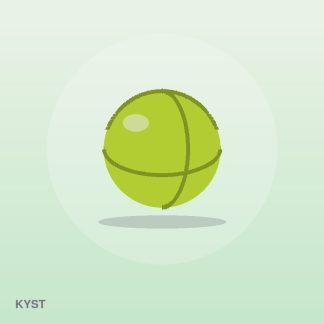 Everyday Dumbbell Set by Kyst