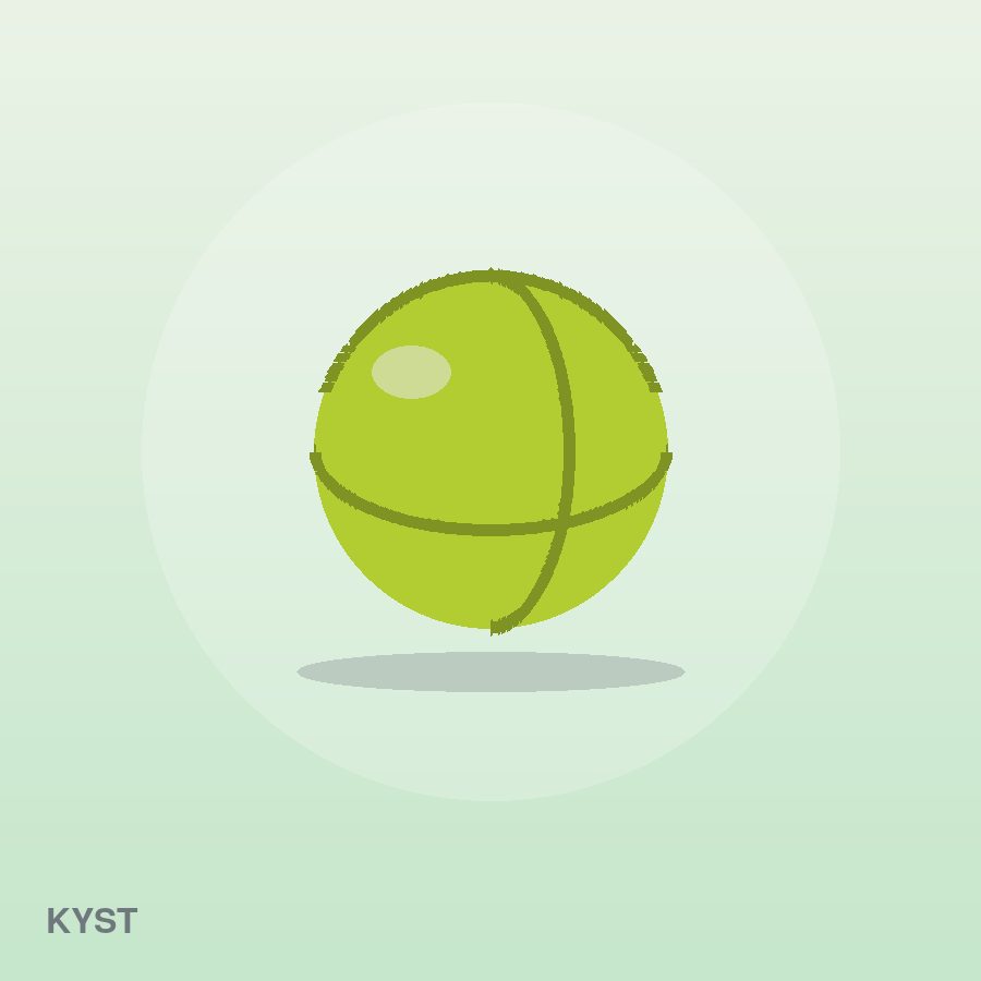 Everyday Dumbbell Set by Kyst