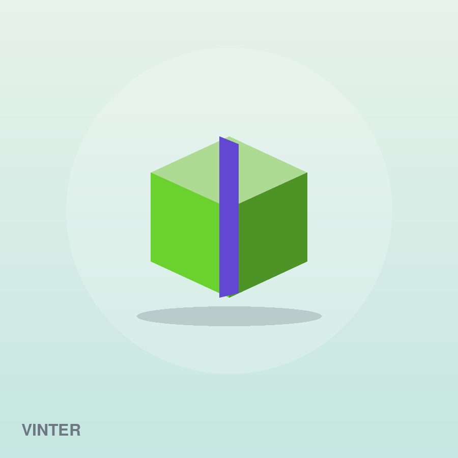 Premium Yoga Mat by Vinter