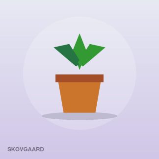 Eco Herb Kit by Skovgaard