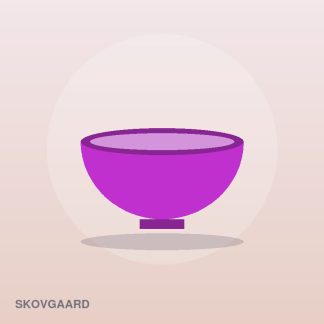 Signature Dinner Plate Set by Skovgaard