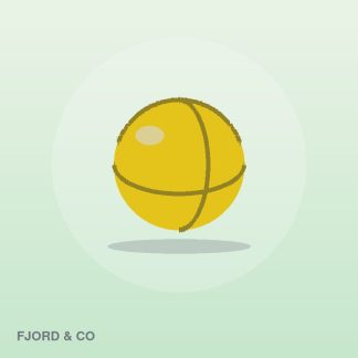 Everyday Webcam by Fjord & Co