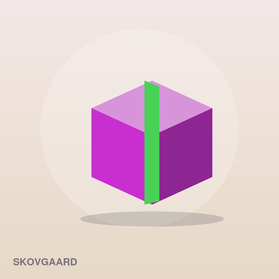 Compact Hair Brush by Skovgaard (3)