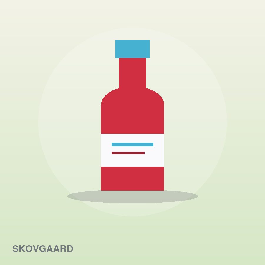 Premium Foam Roller by Skovgaard